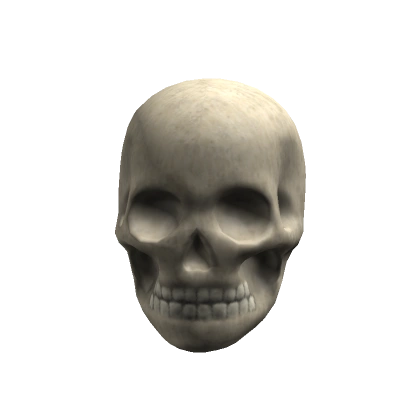 Skull Head Small (for headless)