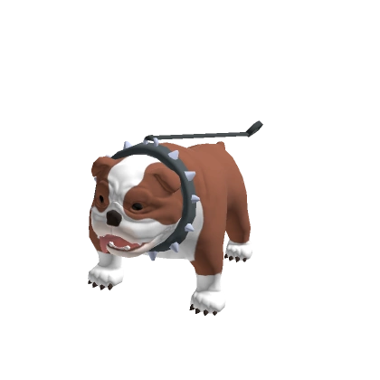 Butcher the English Bulldog