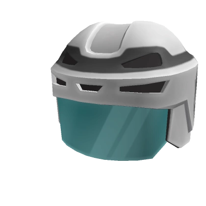 NHL Hockey Helmet