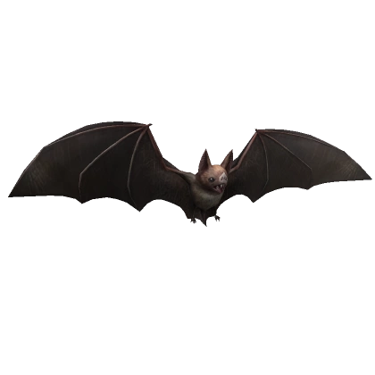 Vampire Bat Back Buddy 