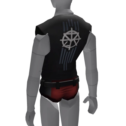 WWE - Seth Rollins Torso