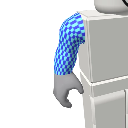 ROBLOX Boy Right Arm