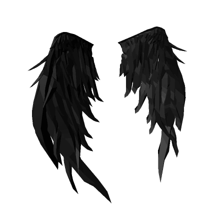 Black Feather Void Wings