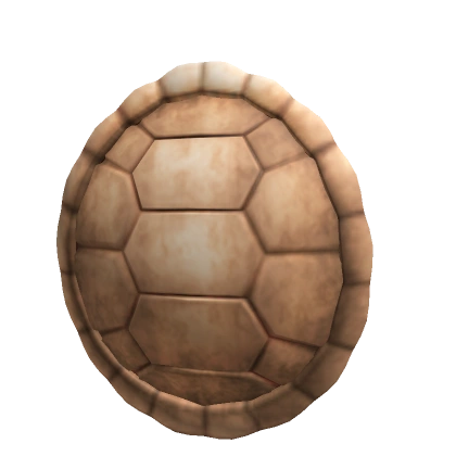 Turtle Back Shell