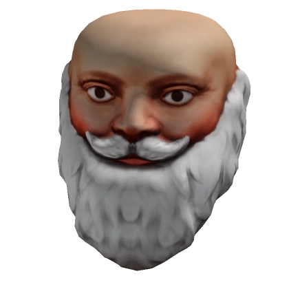 Realistic Santa Head