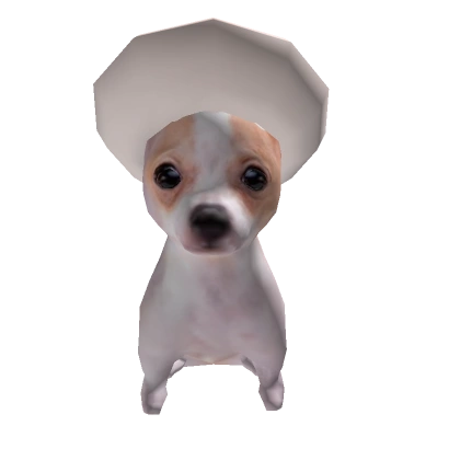 Perrito with hat