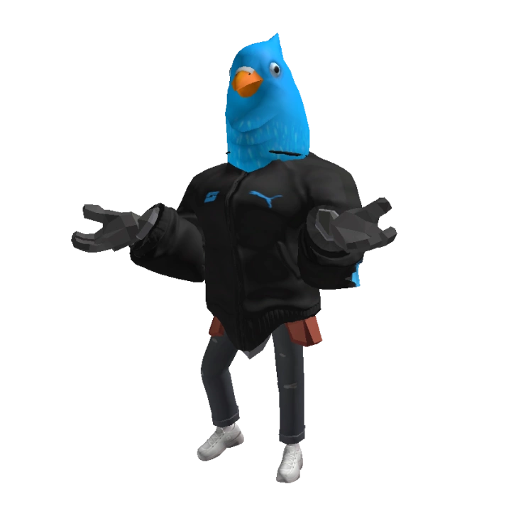 Roblox Character Barry